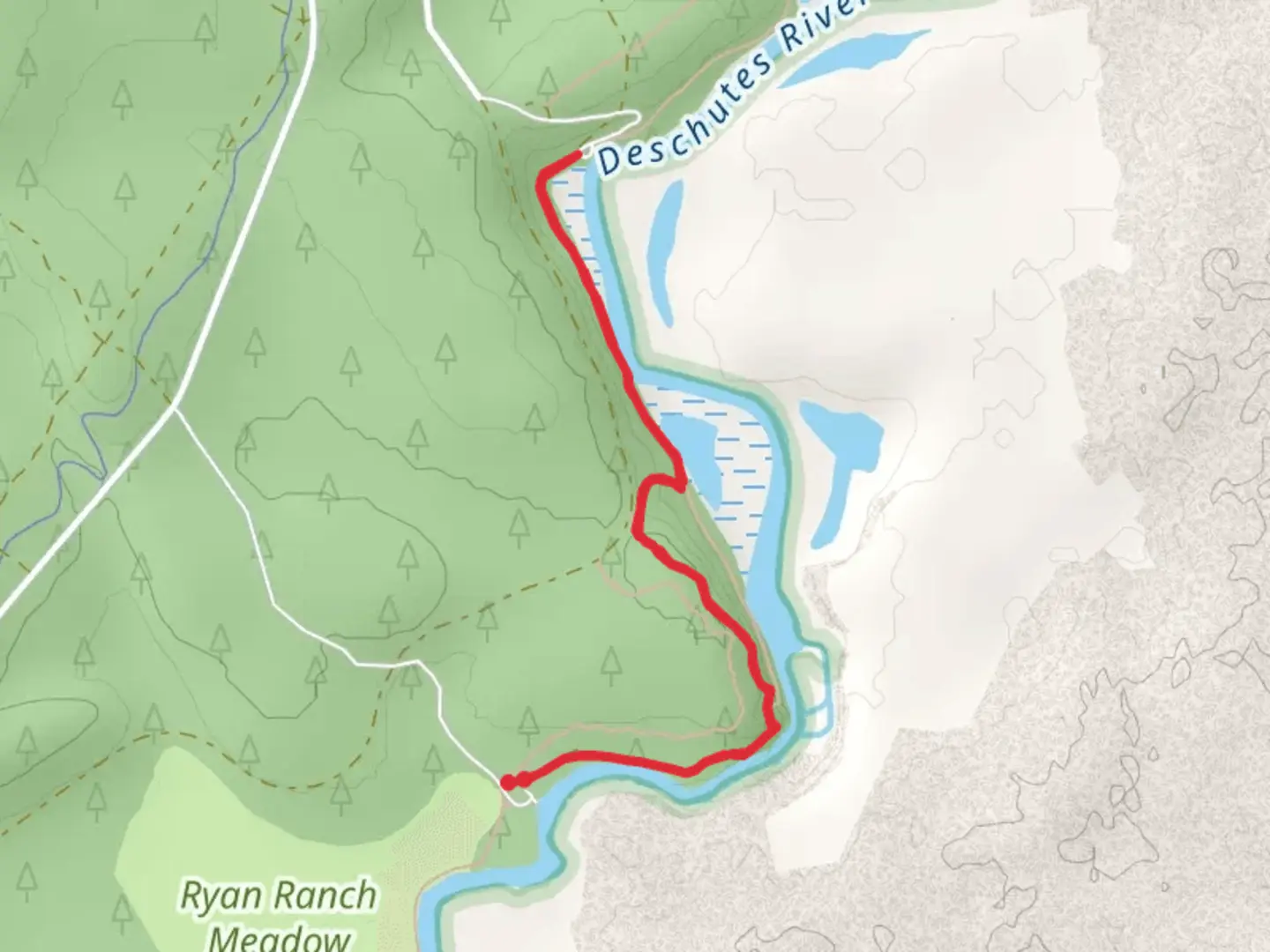 An image depicting the trail Deschutes River Trail - Ryan Ranch Meadow and its surrounding area.