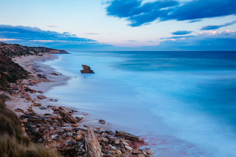 The Bay Trail - Rosebud