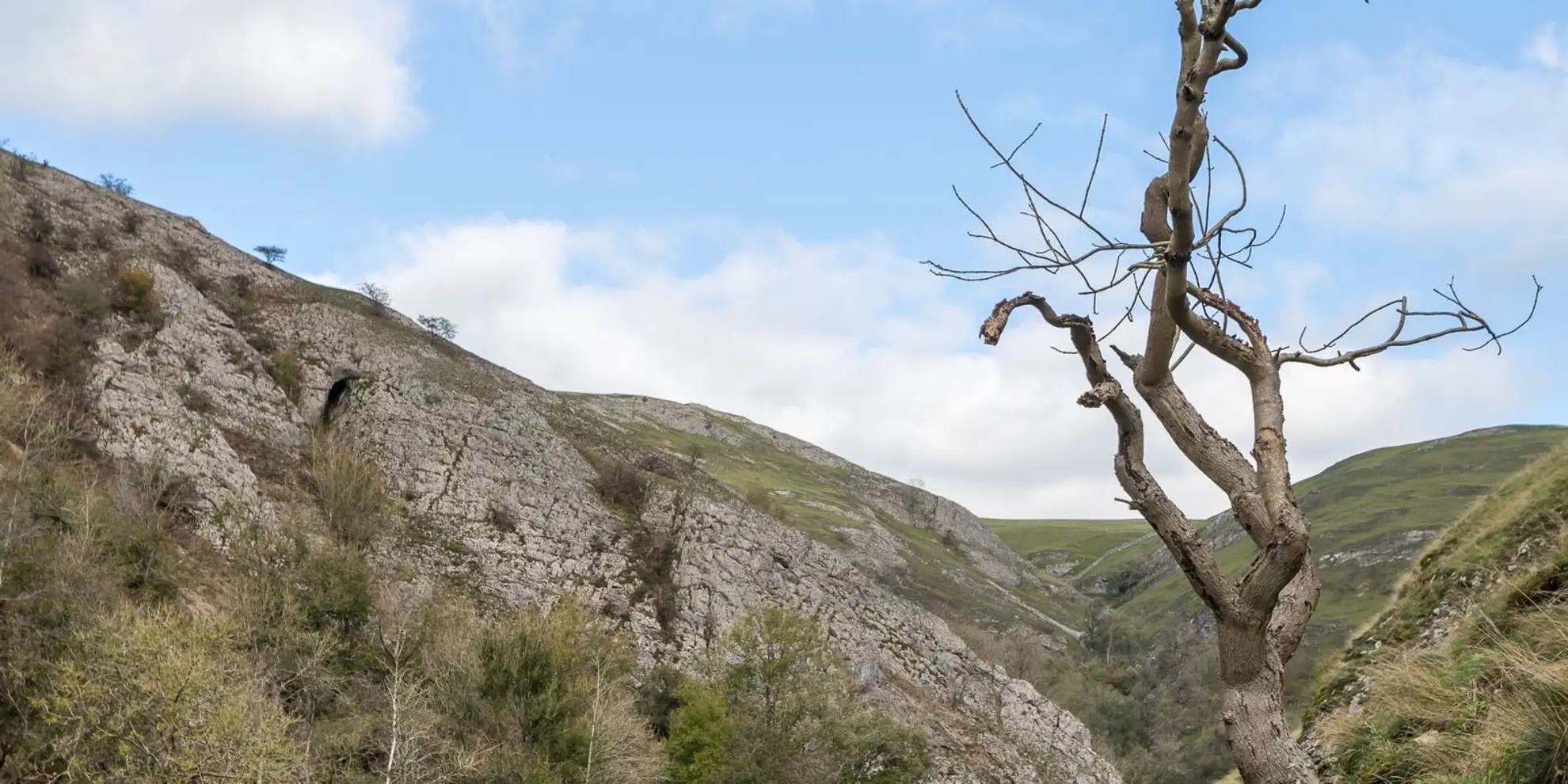 An image depicting the trail Bunster Hill - Dovedale Wood and Upper Taylor's Wood and its surrounding area.
