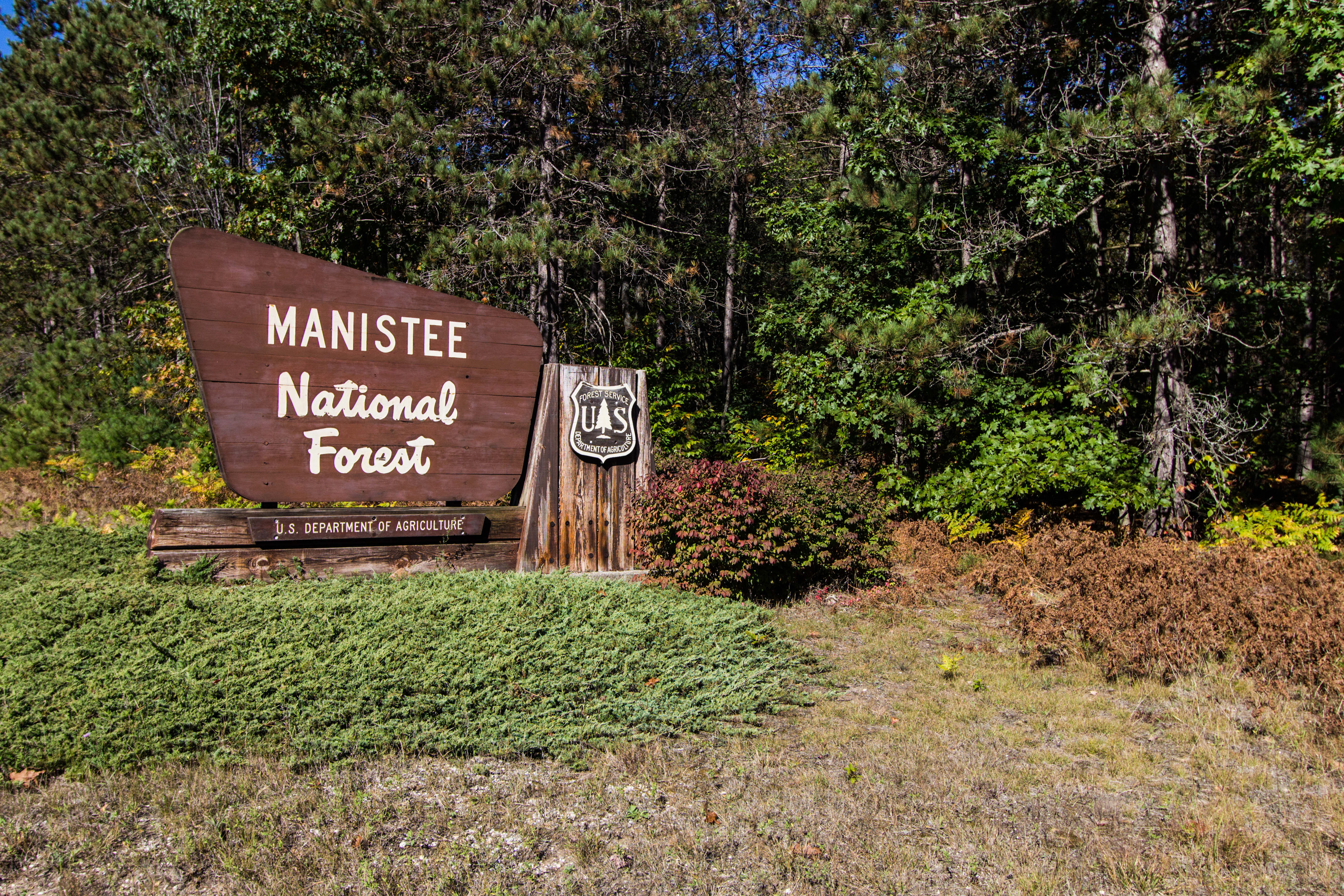 An image depicting the trail Huron-Manistee National Forest and its surrounding area.