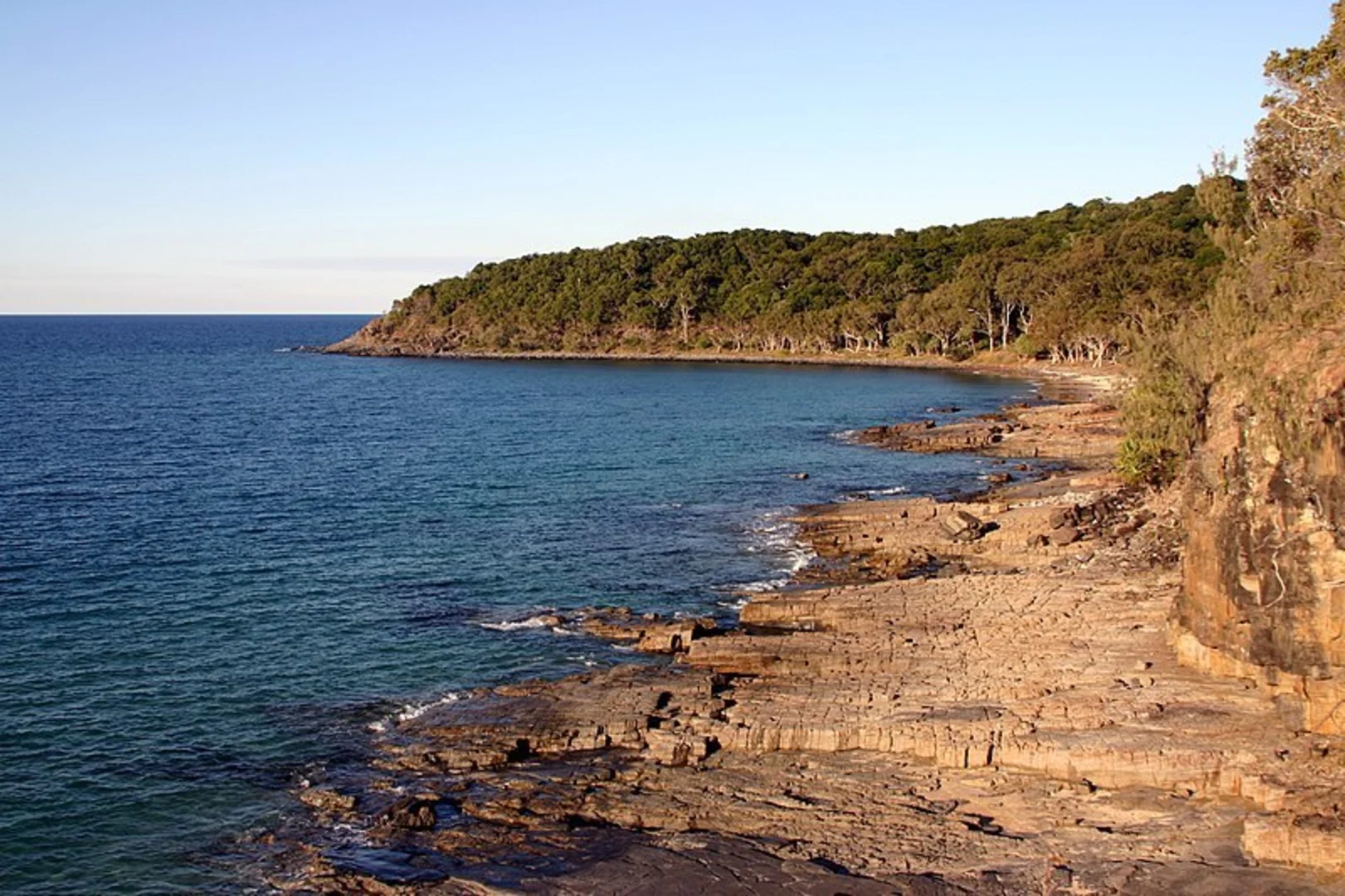 An image depicting the trail Noosa Heads Coastal Track and its surrounding area.