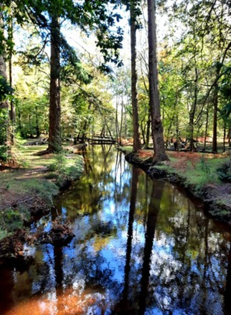 An image depicting the trail Fletchers Thorns Inclosure Loop and its surrounding area.