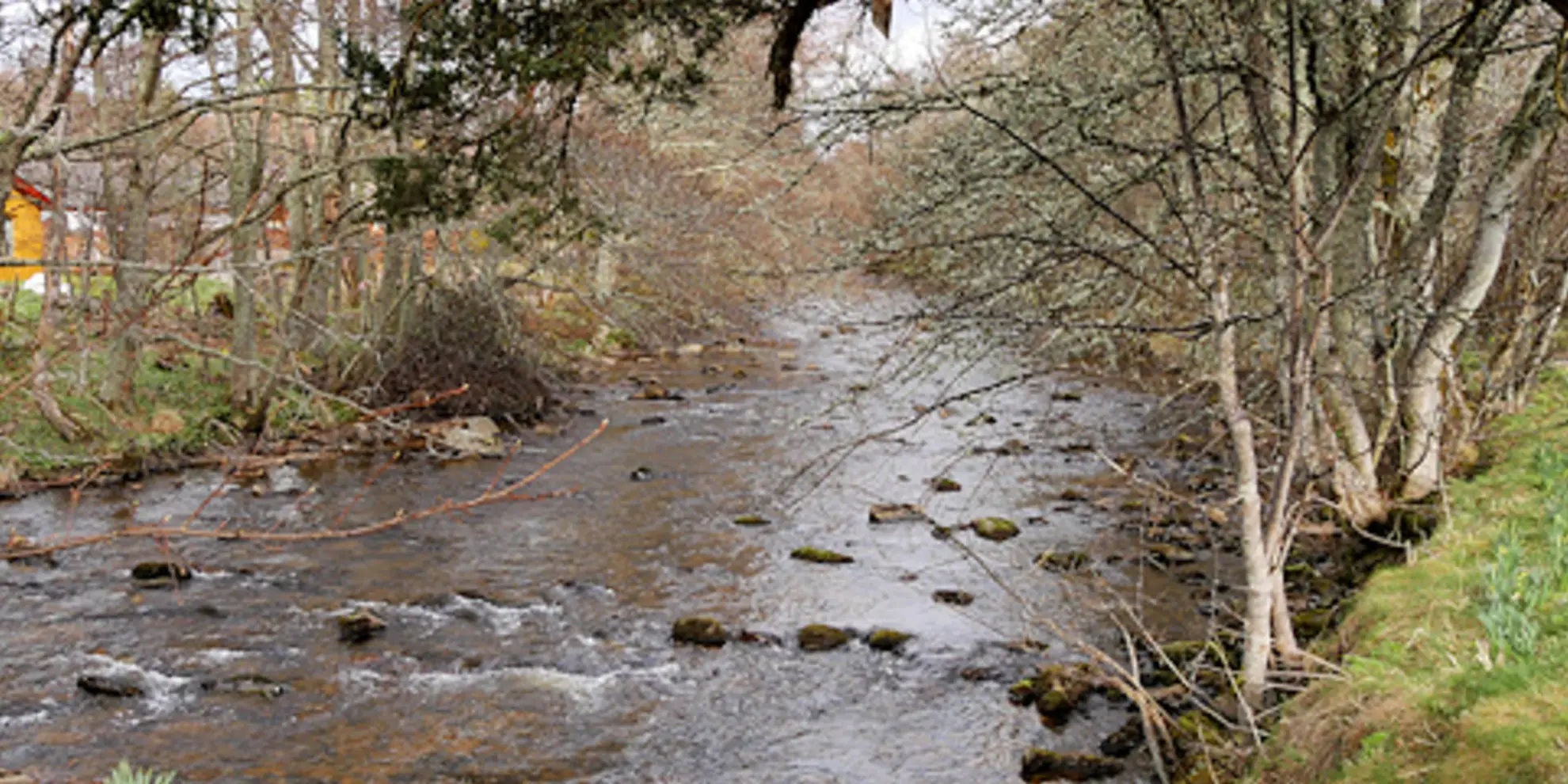 An image depicting the trail Nethy Bridge Path - Puggy Line Trail and its surrounding area.