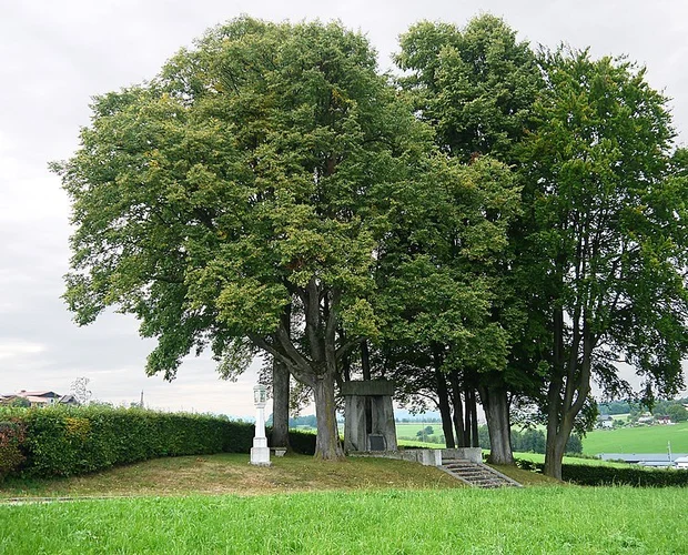 Vöcklamarkt – Haushamerfeld – Pfaffing – Kalvarienberg Loop 3