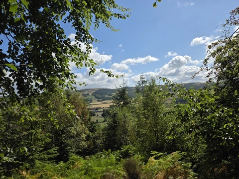 Llanrwst to Betws y Coed