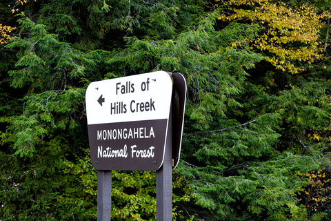 Fork Mountain Trail