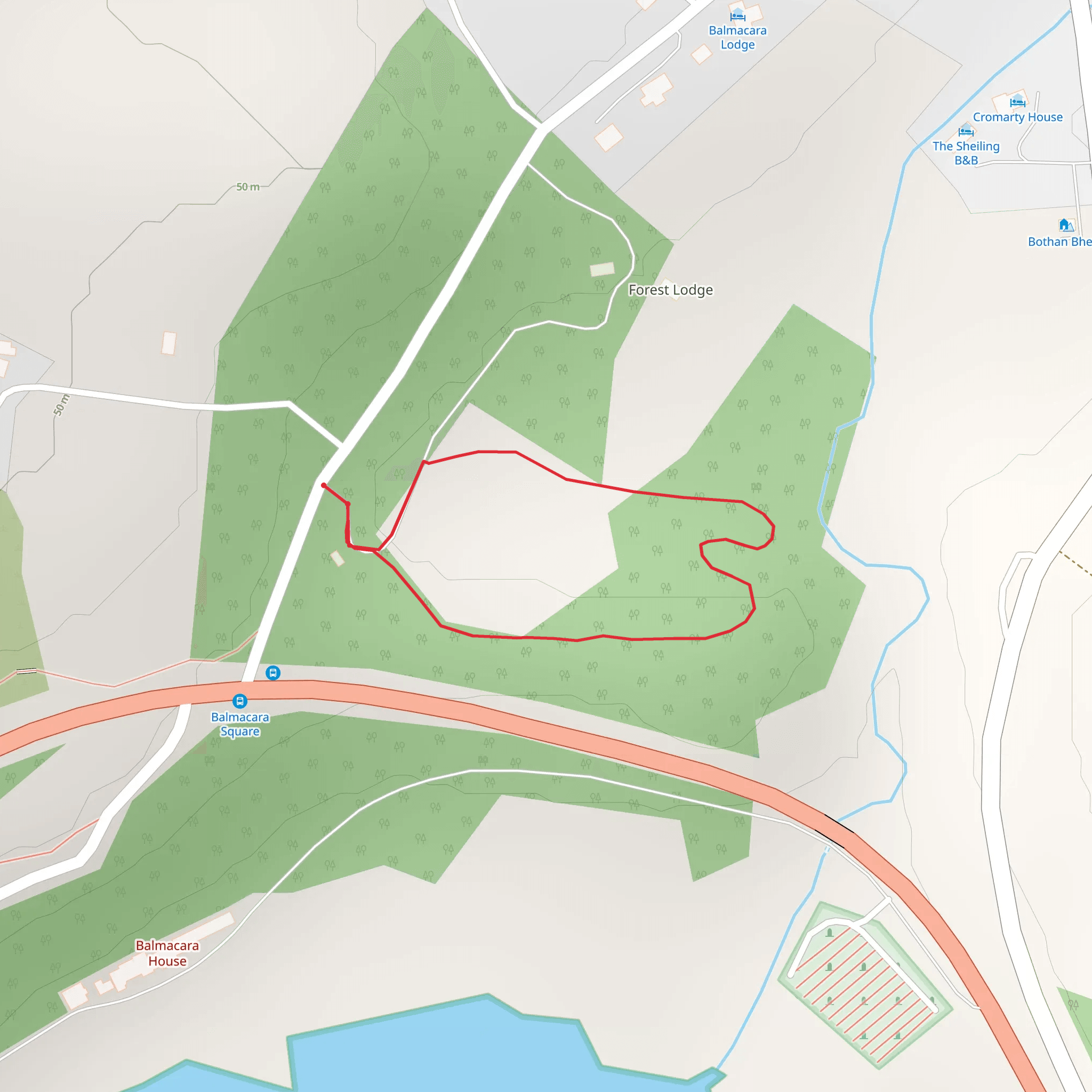 Tree - Spotter Loop Trail mobile static map