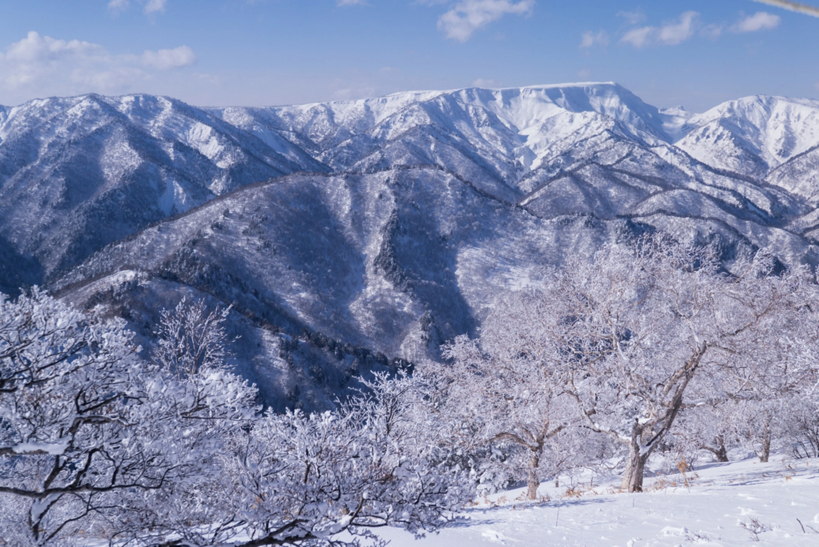 An image depicting the trail The Shin’etsu Trail and its surrounding area.
