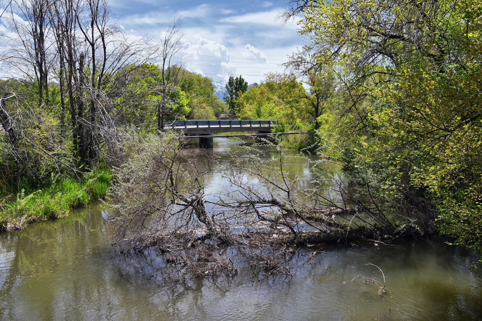 An image depicting the trail Jordan River Trail and its surrounding area.
