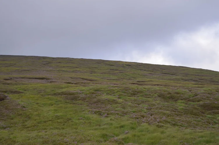 Carrigvore and Duff Hill Loop