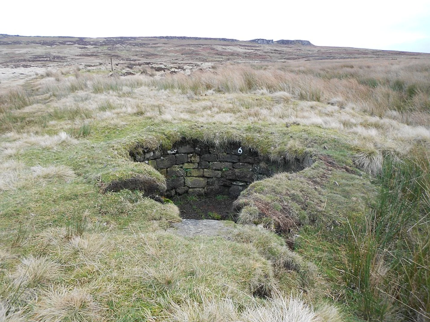 An image depicting the trail Derwent Country Park and Strines Moor Ridge and its surrounding area.