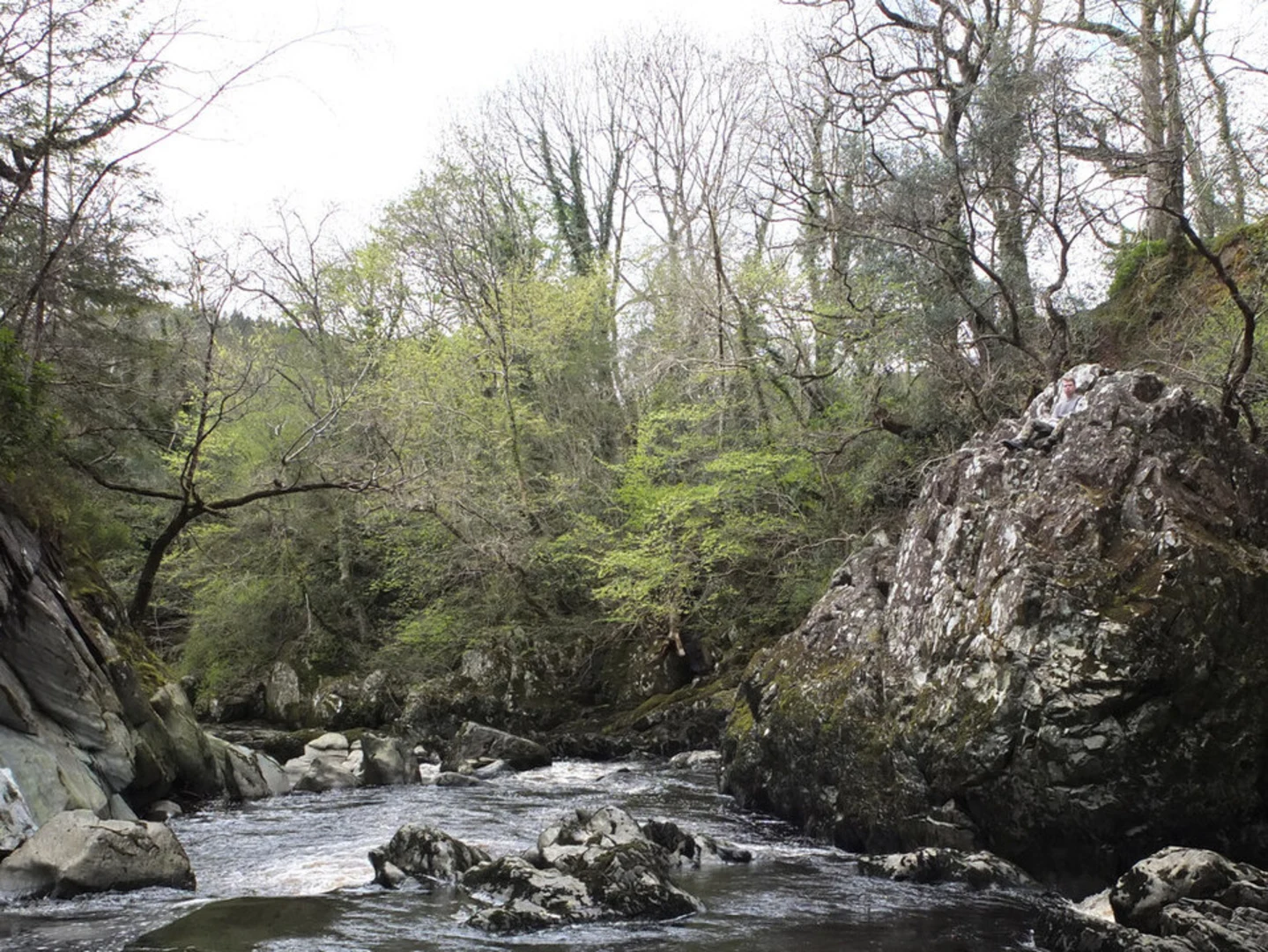 An image depicting the trail Fairy Glen Betws y Coed Walk and its surrounding area.
