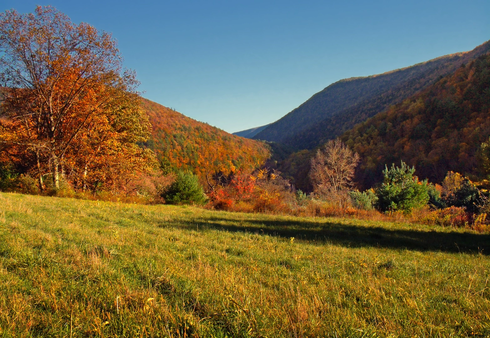 An image depicting the trail Ralph Goodno Trail and its surrounding area.