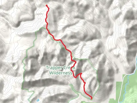 Observation Trail