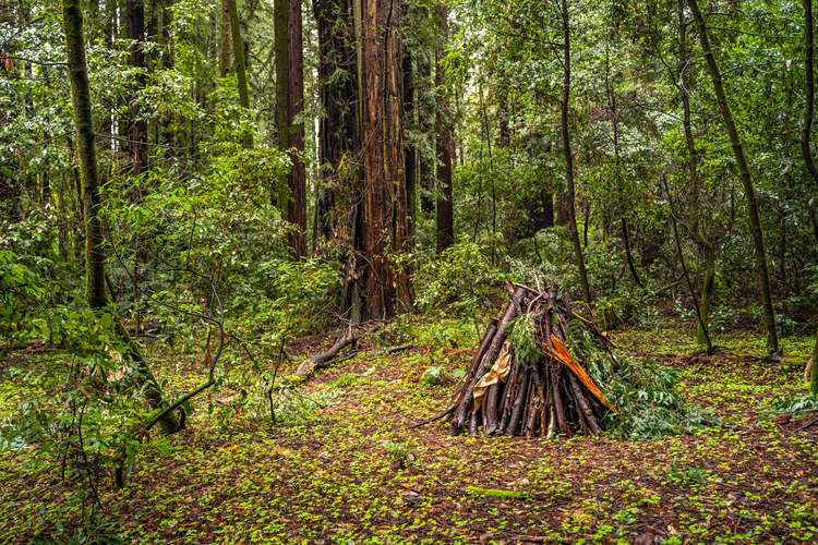Redwood Grove, Eagle Creek and Pipeline Road Loop