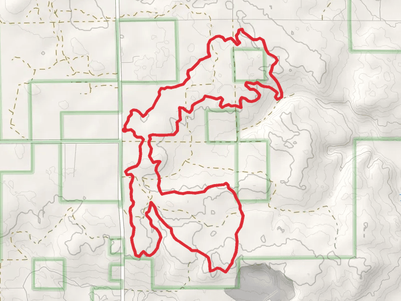 Ogemaw Hills Pathway Full Loop