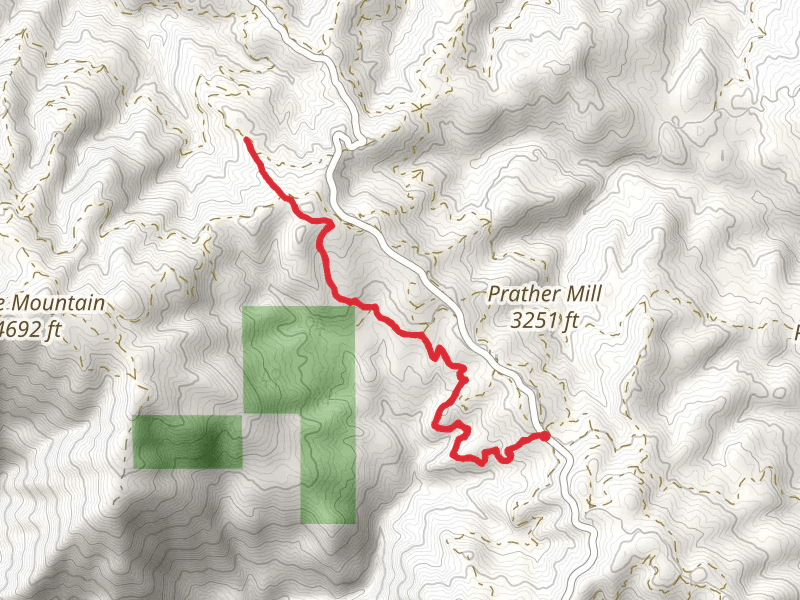 Elk Mountain Trail