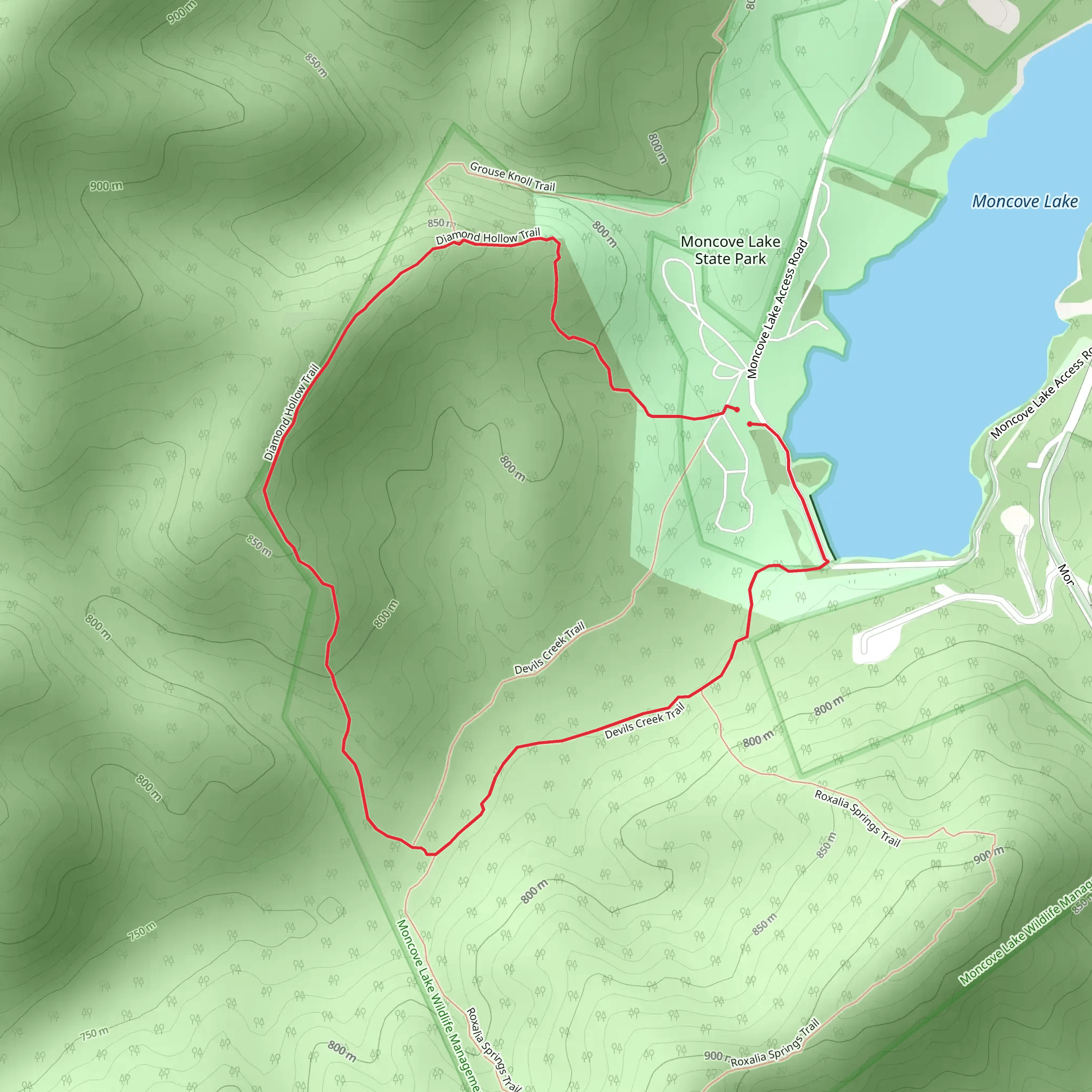 Diamond Hollow and Devils Creek Loop Trail mobile static map