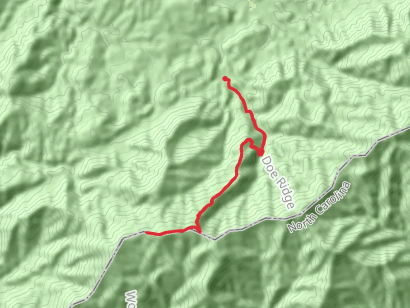An image depicting the trail Gregory Bald via Gregory Ridge Trail and its surrounding area.