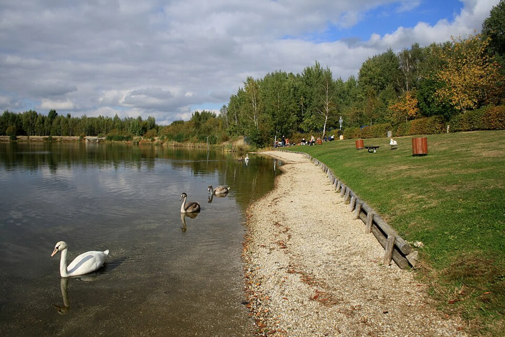 An image depicting the trail Stauweiher Loop - Werdauer Wald and its surrounding area.