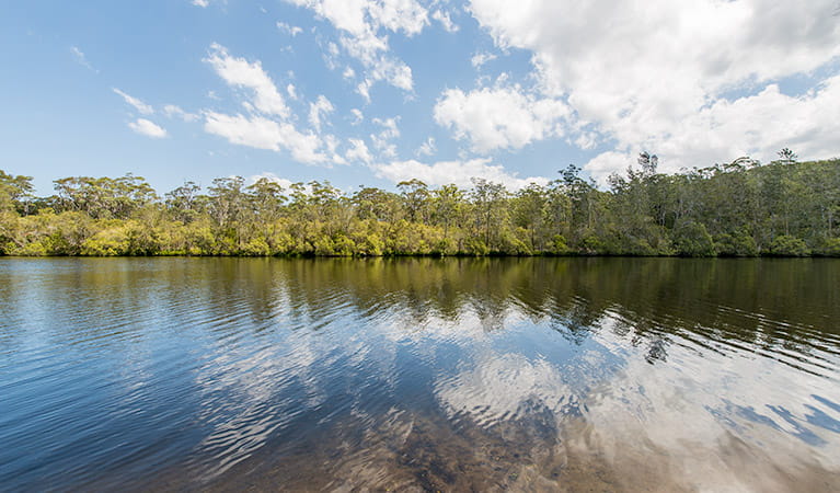 An image depicting the trail Wallingat National Park and its surrounding area.