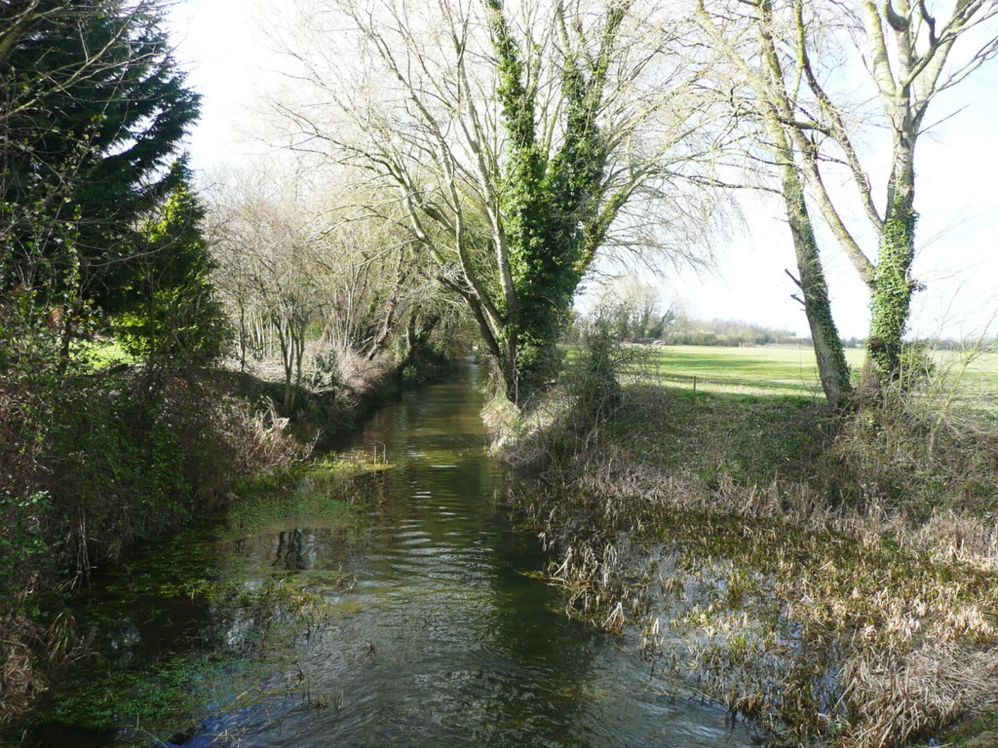 An image depicting the trail Stotfold Mill Walk and its surrounding area.