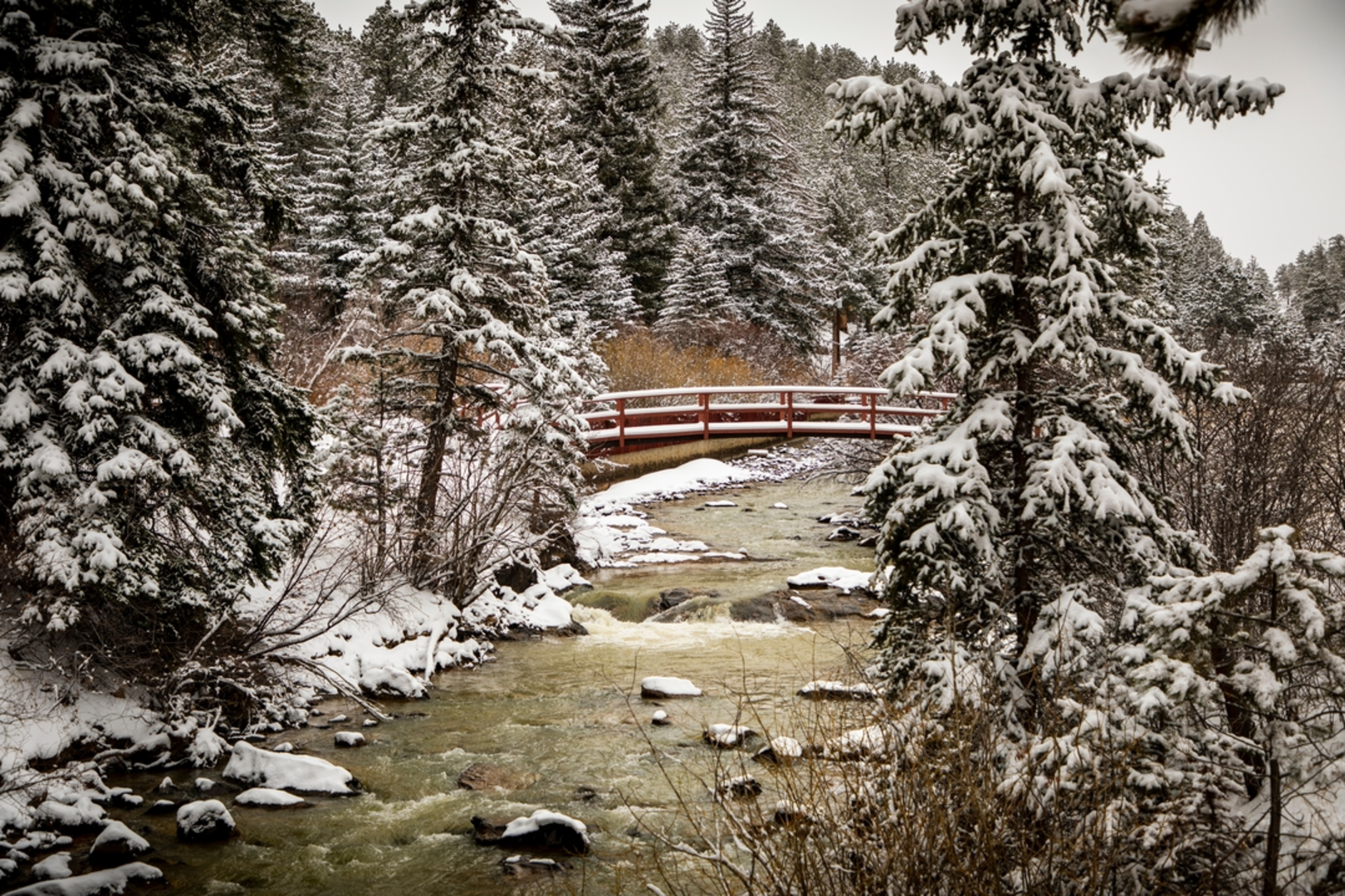 An image depicting the trail Payne Creek Trail and its surrounding area.