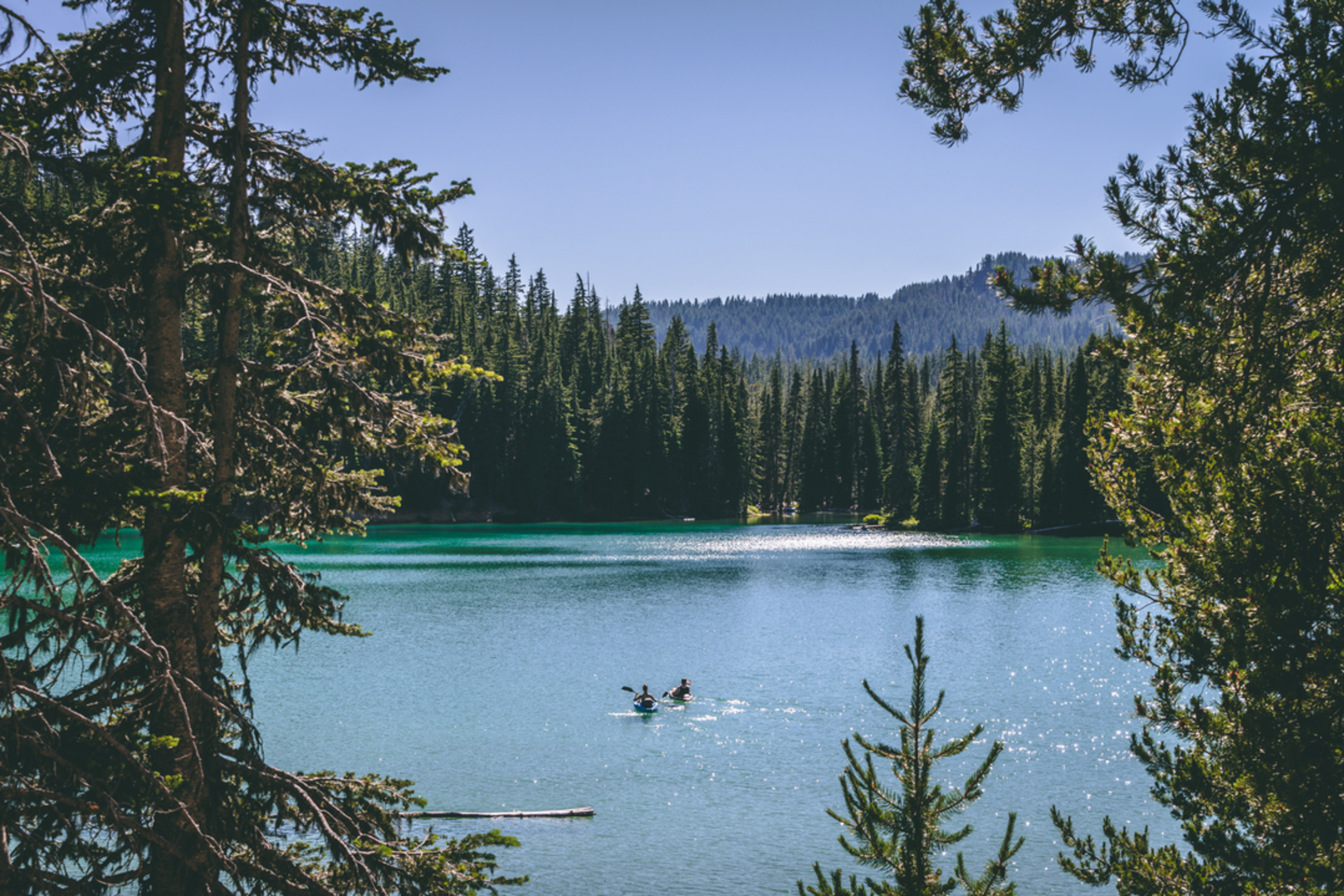 An image depicting the trail Elk Lake Creek Trail and its surrounding area.