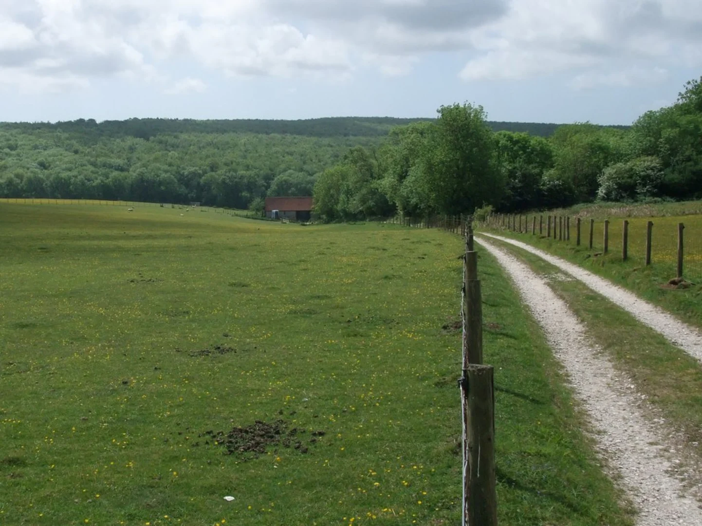 An image depicting the trail West Wood and Crown Tegleaze Loop and its surrounding area.