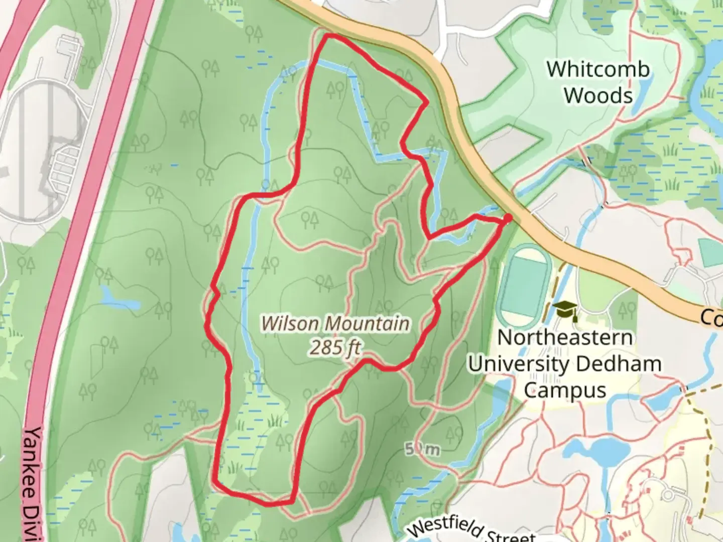 An image depicting the trail Blue Blazed Trail and its surrounding area.