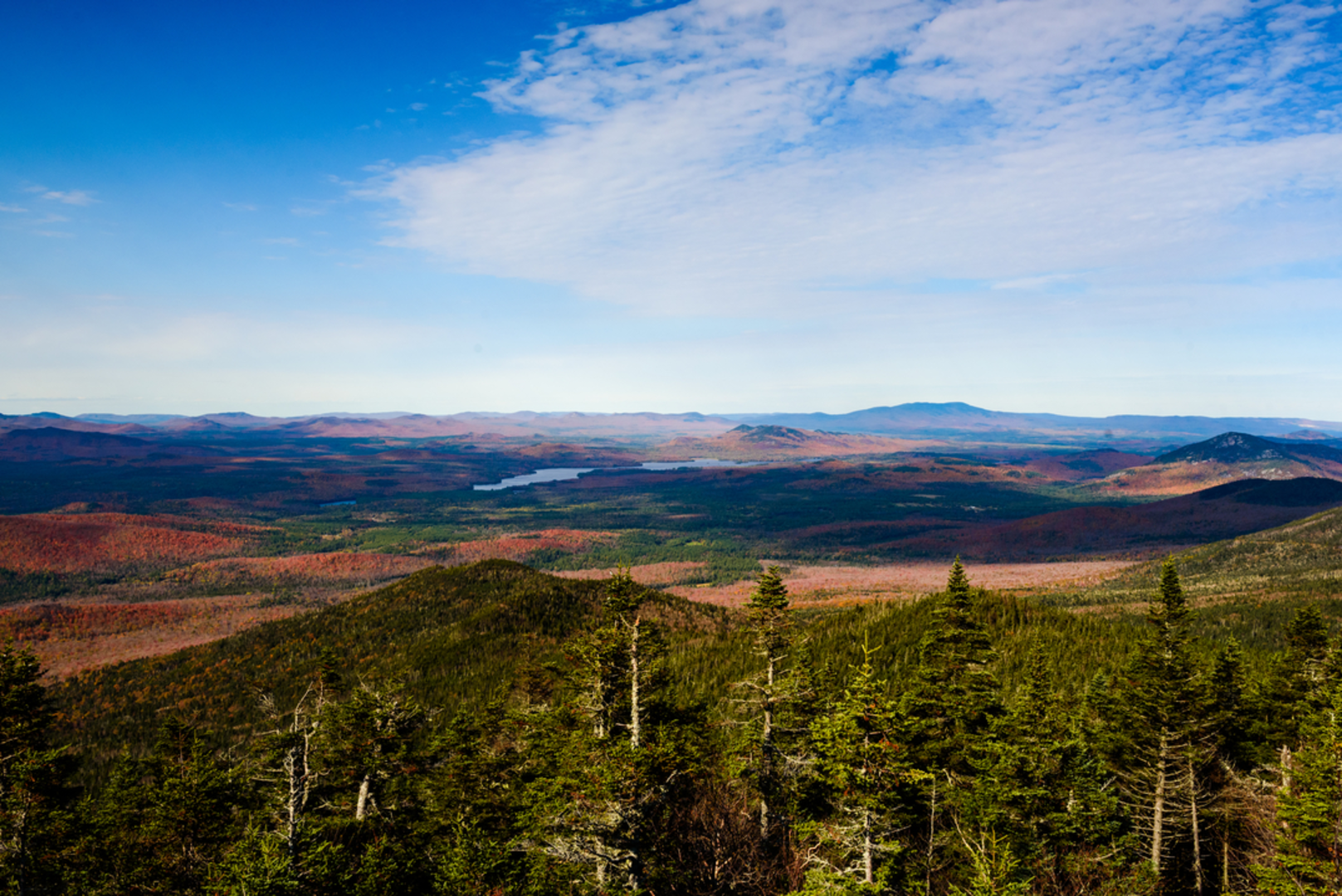An image depicting the trail McKenzie Mountain Loop and its surrounding area.