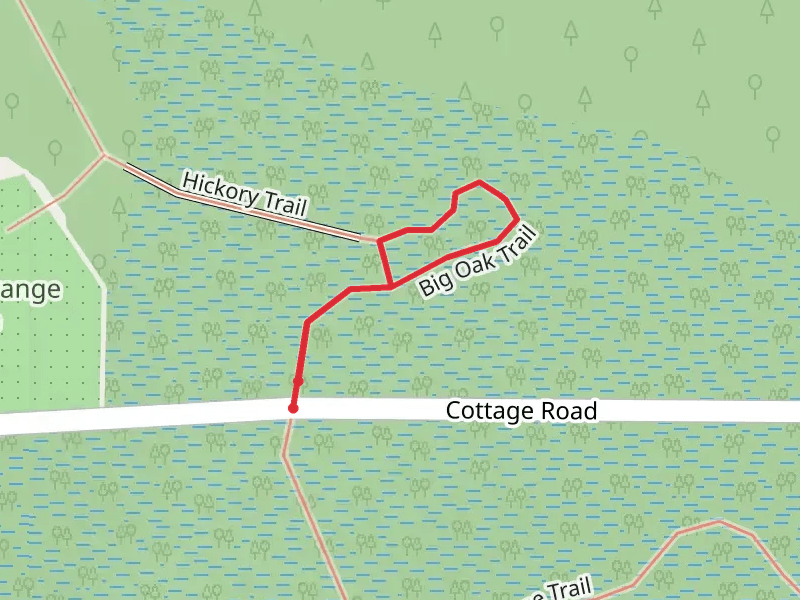 Hickory and Big Oak Trail