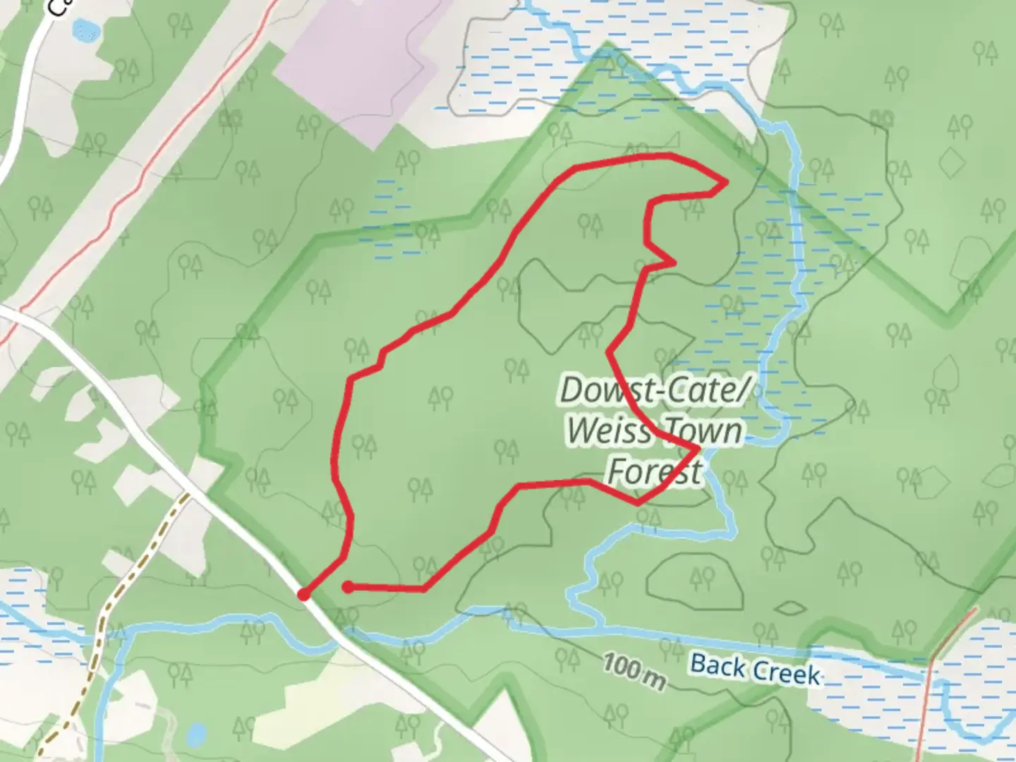 An image depicting the trail Dowst-Cate Town Forest Loop and its surrounding area.