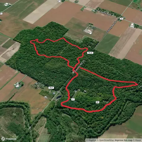 Gull Cemetery and Goll Woods via Toadshade Trail, Tuliptree Trail and Cottonwood Trail