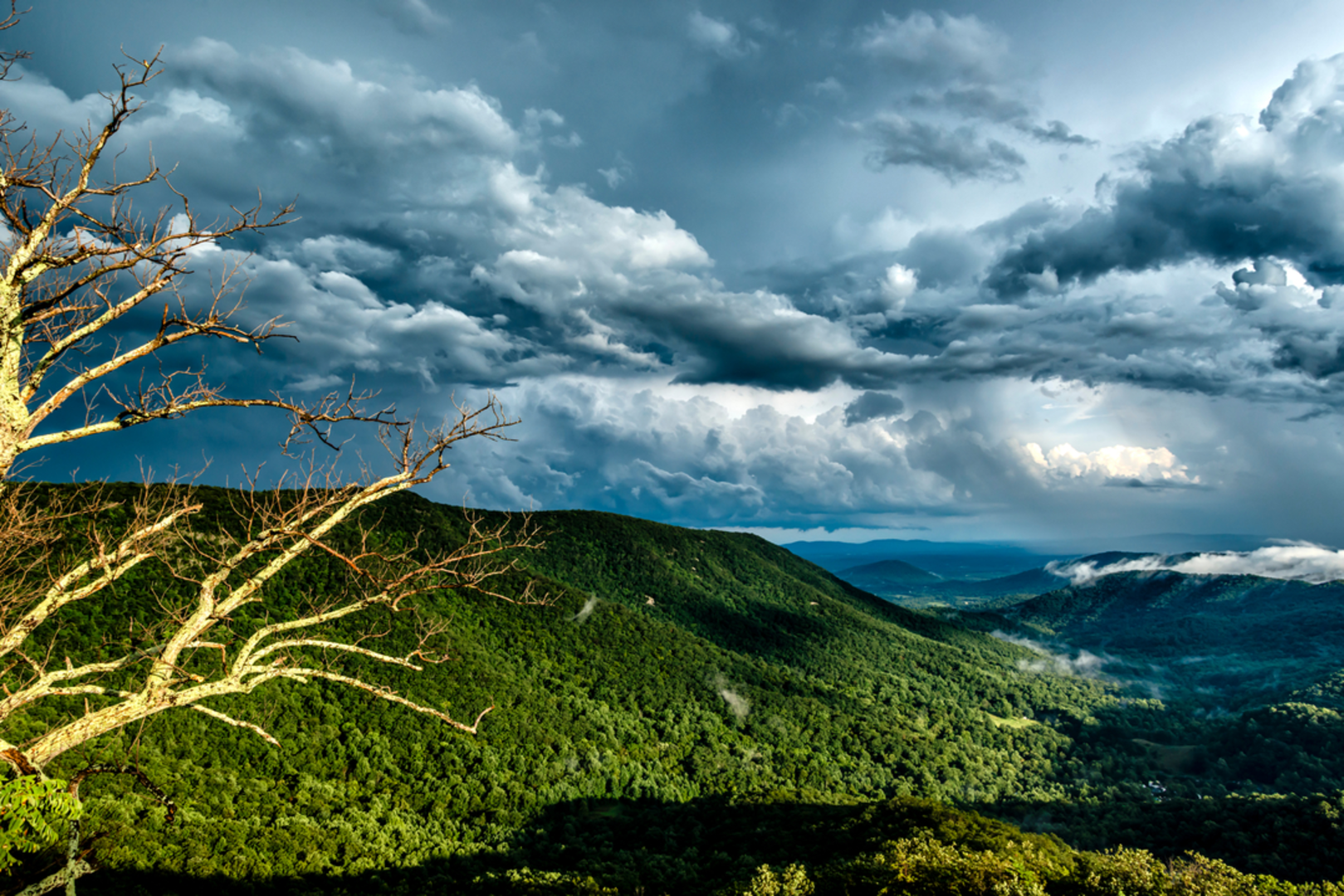 An image depicting the trail Smith Roach Gap Road Trail and its surrounding area.