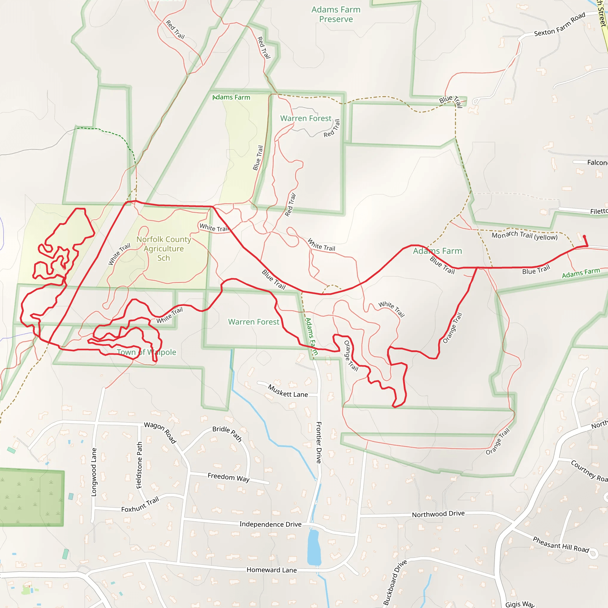 Blue Loop Trail - North Street mobile static map