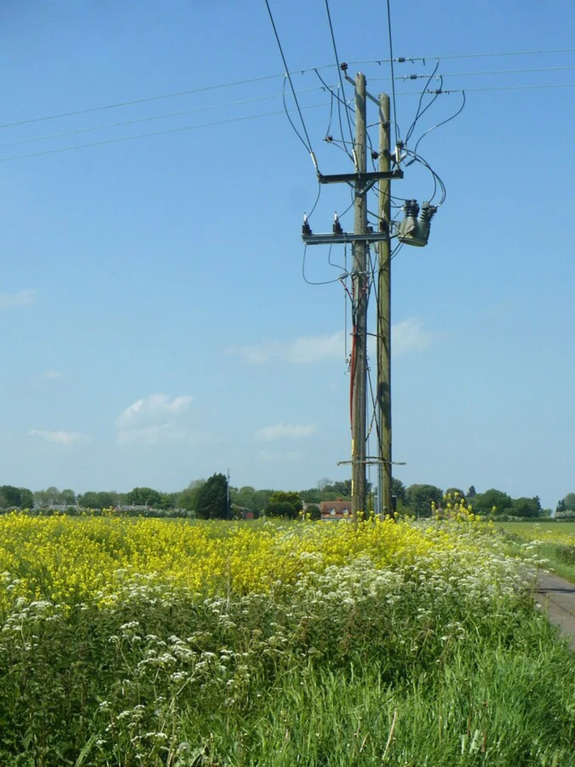An image depicting the trail Faringdon Clump via Church Walk and its surrounding area.