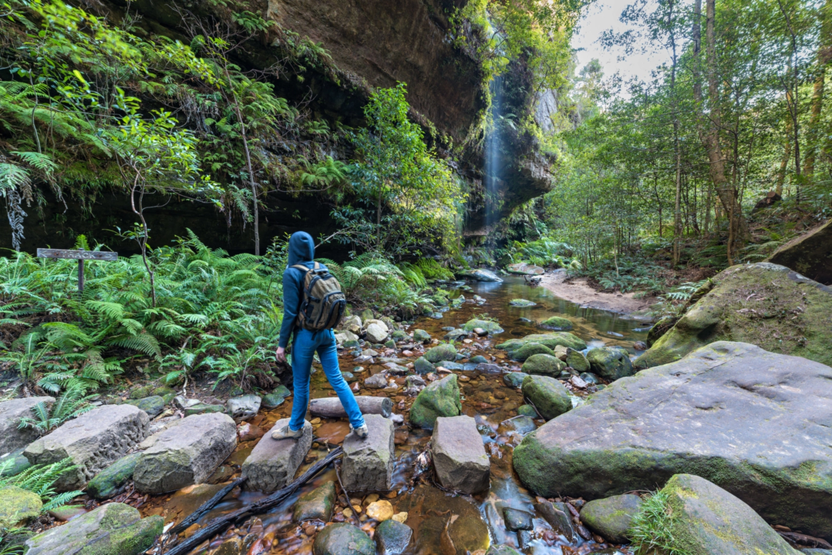 An image depicting the trail Grand Canyon Track and its surrounding area.