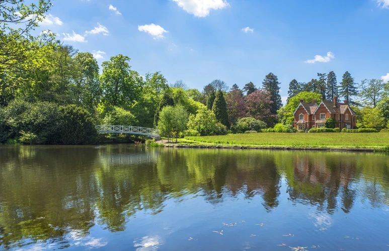 Great Meadow Pond, Virginia Water and Obelisk Pond