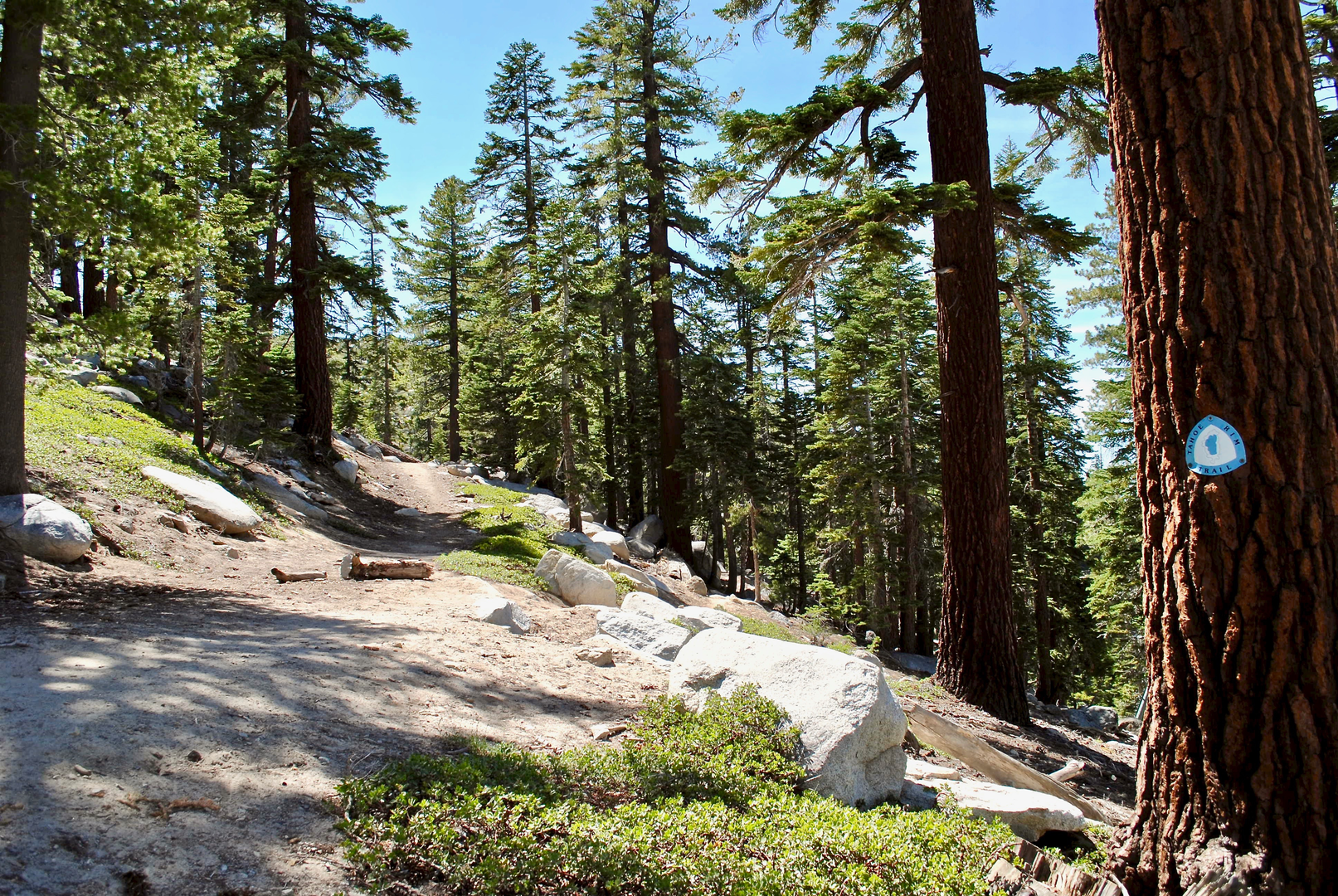 An image depicting the trail Bonanza Drive to Ward Creek Boulevard via Tahoe Rim Trail and its surrounding area.