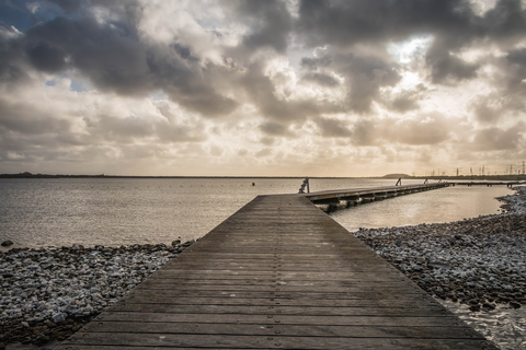 Oostvoornse Meer Loop