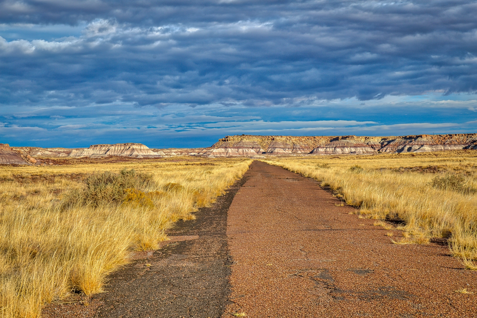 An image depicting the trail Petrified Forest Road Loop and its surrounding area.
