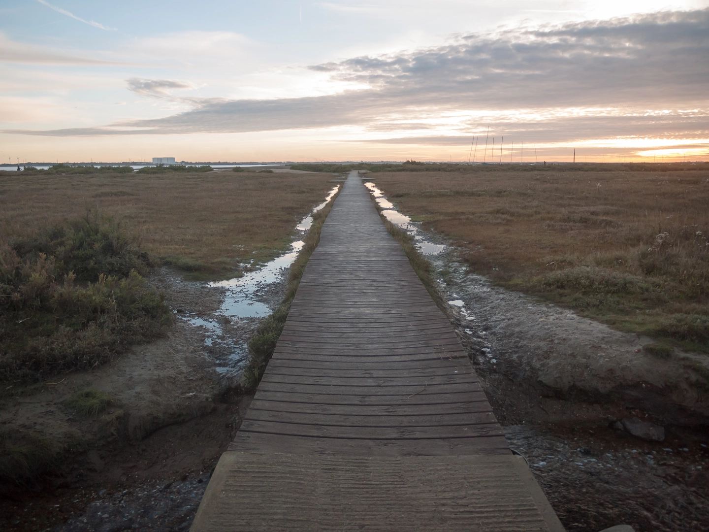 An image depicting the trail Polstead to East Mersea Walk and its surrounding area.