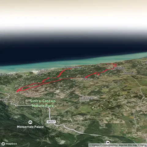 PR8 - SNT - Vinho de Colares