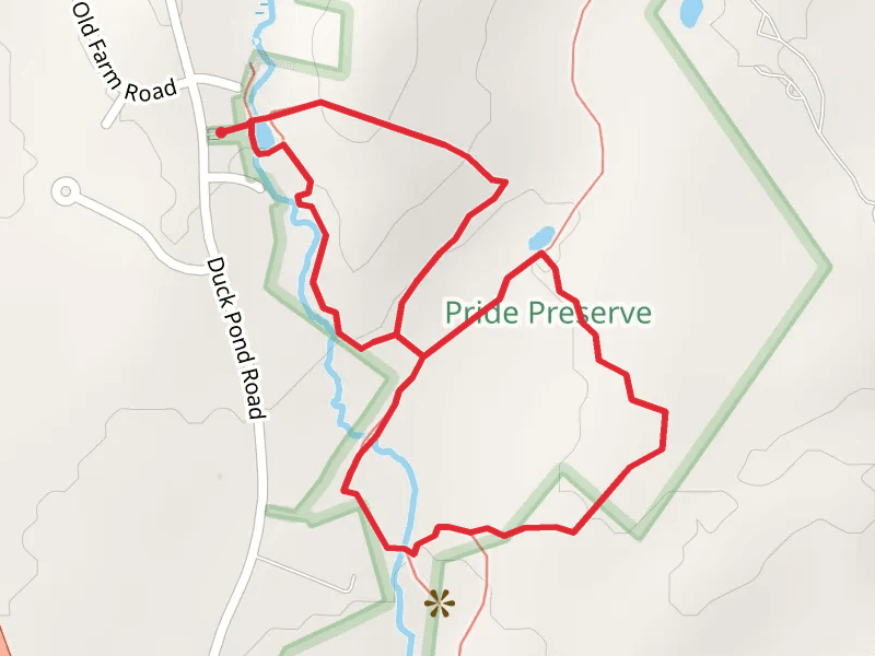 Borrow Pit and Minnow Brook Loop
