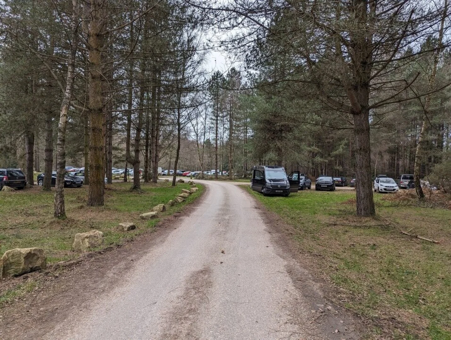 An image depicting the trail Thetford Forest and its surrounding area.