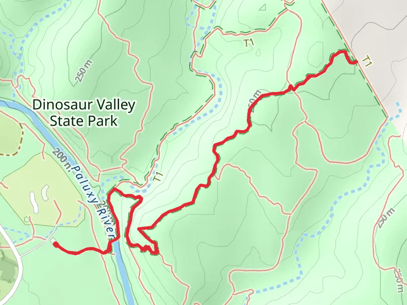Cedar Ridge Trail