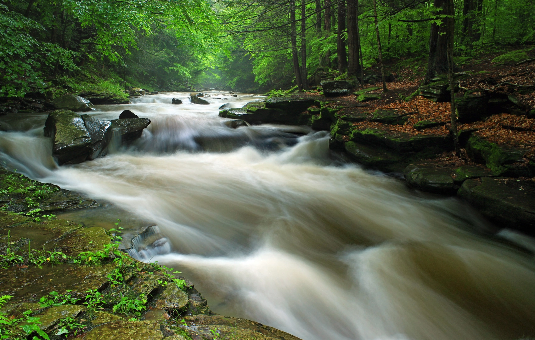 An image depicting the trail Loyalsock Creek and Rock Run Creek and its surrounding area.