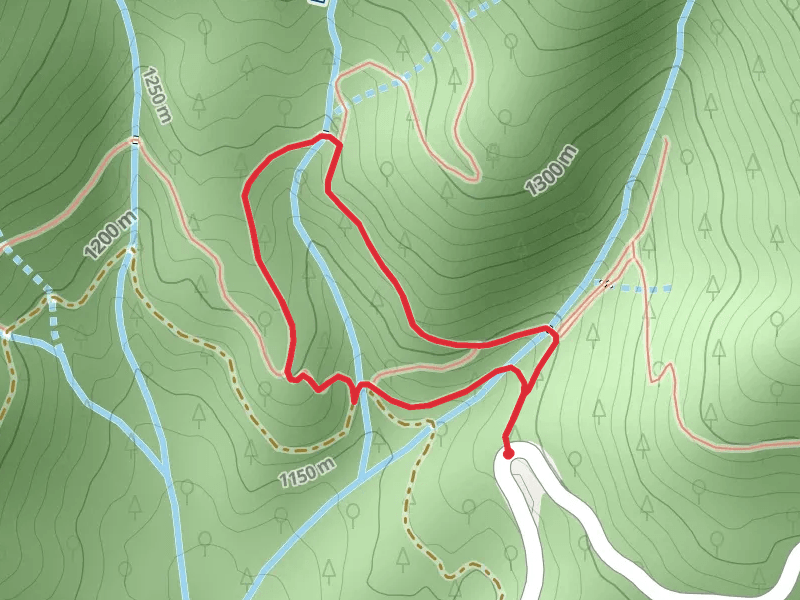 Trail 100 and 110 Loop