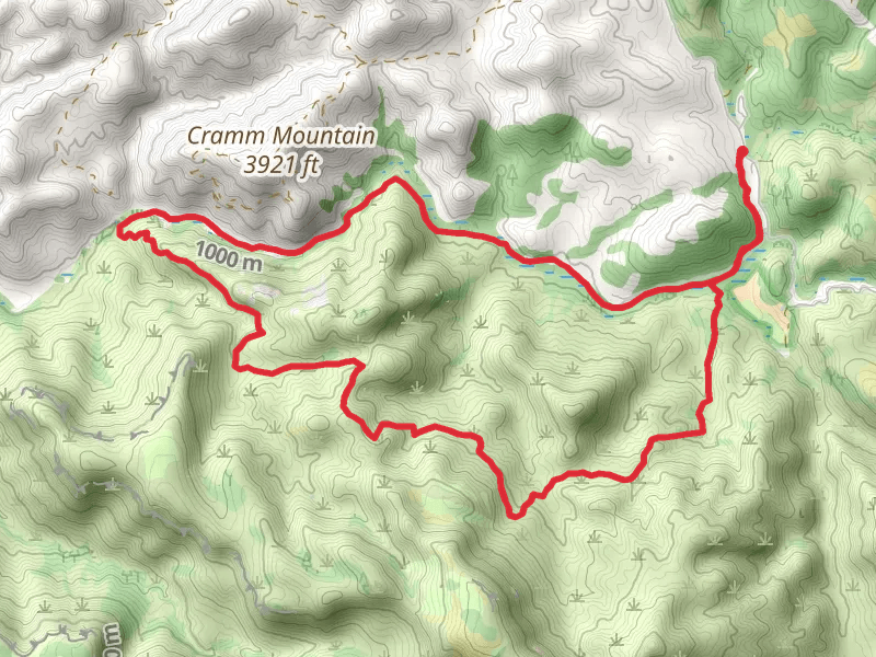 Cave Creek Trail and Skunk Creek Trail Loop